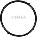 Engine Coolant Outlet Gasket