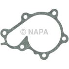 Engine Water Pump Gasket