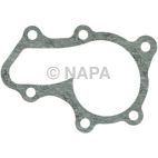 Engine Water Pump Gasket
