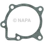 Engine Water Pump Gasket