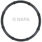 Engine Coolant Outlet Gasket