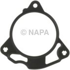 Engine Water Pump Gasket