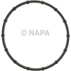 Engine Water Pump Gasket