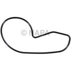 Engine Water Pump Gasket