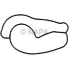 Engine Water Pump Gasket