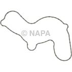 Engine Water Pump Gasket