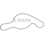 Engine Water Pump Gasket