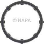 Engine Oil Cooler Gasket
