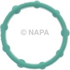 Engine Oil Cooler Gasket