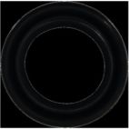 Fuel Injection Plenum Gasket