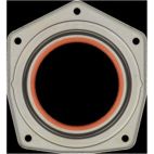 Engine Crankshaft Seal