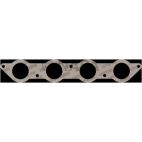 Fuel Injection Plenum Gasket