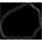 Engine Coolant Thermostat Gasket
