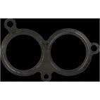 Fuel Injection Plenum Gasket