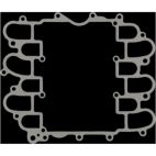 Fuel Injection Plenum Gasket
