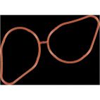 Fuel Injection Plenum Gasket