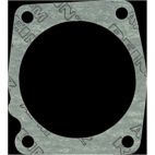 Fuel Injection Throttle Body Mounting Gasket