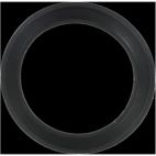 Fuel Injection Plenum Gasket