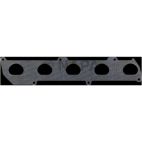 Fuel Injection Plenum Gasket