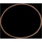 Fuel Injection Throttle Body Mounting Gasket