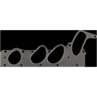 Fuel Injection Plenum Gasket