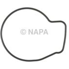 Engine Water Pump Gasket