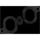 Fuel Injection Plenum Gasket
