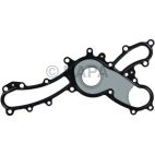 Engine Water Pump Gasket