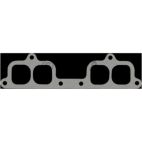 Fuel Injection Plenum Gasket