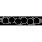 Fuel Injection Plenum Gasket