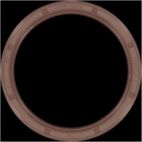 Engine Crankshaft Seal