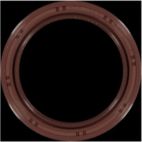 Engine Crankshaft Seal
