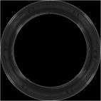 Engine Crankshaft Seal