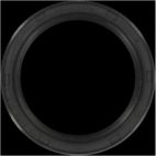 Engine Camshaft Seal