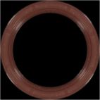 Engine Crankshaft Seal