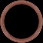 Engine Crankshaft Seal