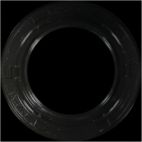 Engine Crankshaft Seal