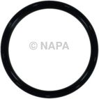 Engine Crankshaft Seal