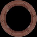 Engine Crankshaft Seal
