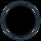Engine Crankshaft Seal