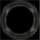 Engine Camshaft Seal