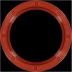 Engine Crankshaft Seal