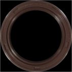 Engine Crankshaft Seal