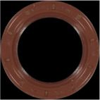 Engine Crankshaft Seal