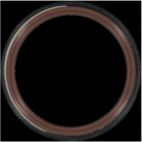 Engine Crankshaft Seal