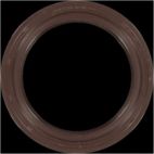 Engine Crankshaft Seal