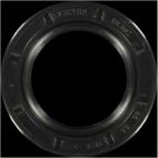 Engine Crankshaft Seal