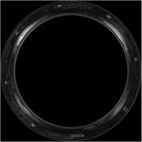 Engine Crankshaft Seal