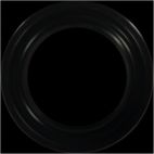 Engine Crankshaft Seal