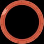 Engine Crankshaft Seal